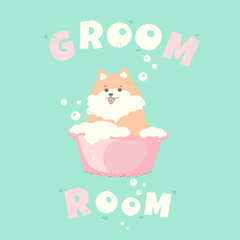 dog spitz grooming