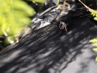 休日のサイクリング。
自転車での冒険。