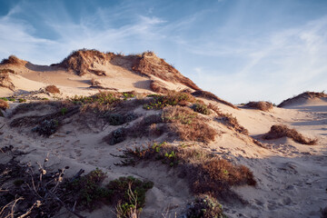 Wild sandy landscape, with part of Cresmina Dunes. Beautiful scenery in Portugal.
