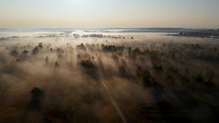 Epic aerial view of sunrise fog covering field with trees.