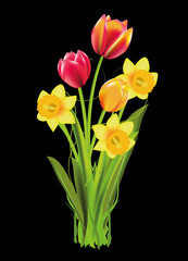 Bunte Tulpen und Osterglocken als Frühlingsstrauss