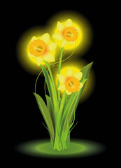 strahlend gelbe Osterglocken als Frühlingsstrauss 