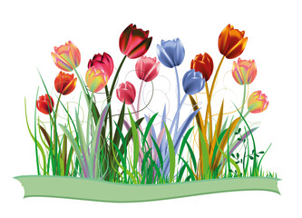 fantasievolle bunte Tulpen auf Frühlingswiese
