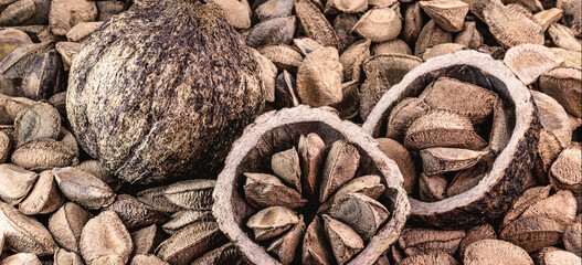 Brazil nuts, also known as Brazil nuts, natural nuts from northern Brazil, bolivia and the Amazon rainforest.