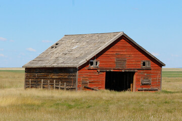 Fototapeta na wymiar Rustic rural scene of a weathered old , red, wooden barn in an agricultural field with dry brown grass and clear blue sky.
