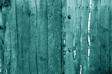 Wall made of uncutted weathered wood boards in cyan tone.