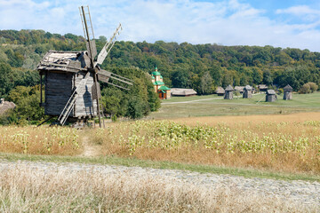 Fototapeta premium An old rural landscape with windmills against the backdrop of a lawn and dense forest.
