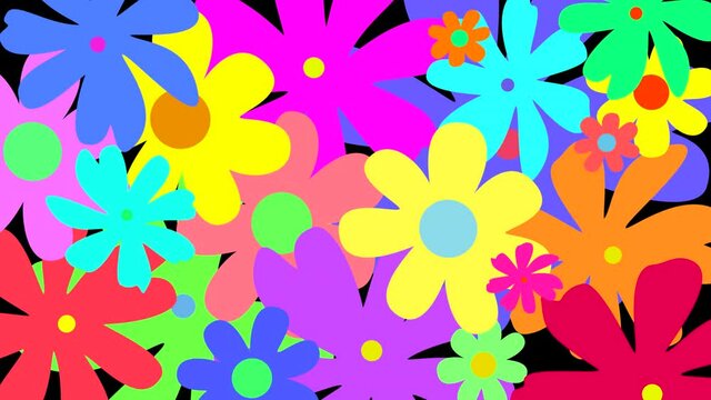A reveal of a colorful arrangement of flowers on a transparent background