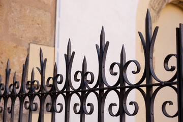 wrought iron security gate with decoration. Property protection