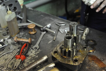 Gears of the disassembled water pump