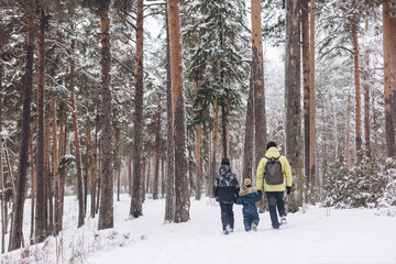 Rear view of father with backpack and little sons holding hand walking together in winter snowy forest. Wintertime activity outdoors. Concept of local travel and family weekend