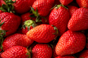 いちごたくさん	