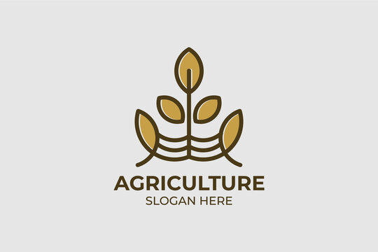 simple and modern agriculture logo set