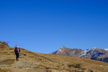 Fototapeta na wymiar Salendo al Monte Gazzirola, tra Italia e Svizzera. Prealpi
