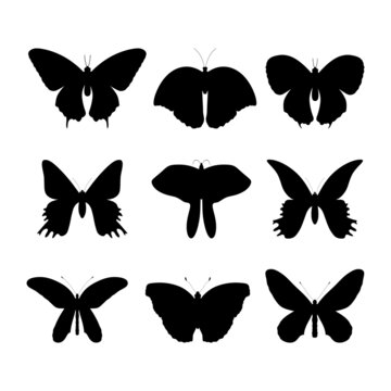 The icon of different types of butterflies is black on a white background.