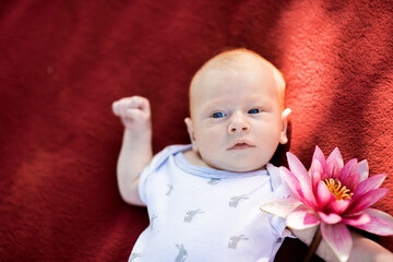 To view on  cute little newborn baby with rose flower lying on the red blanket