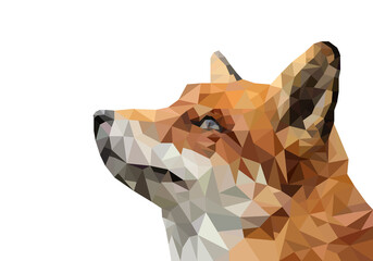 Fox in style Low Poly
