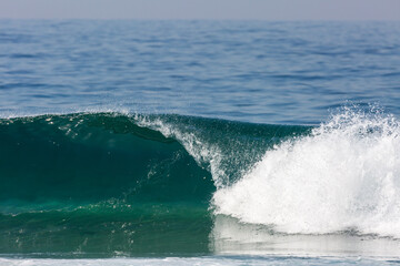 perfect green wave breaking on a beach