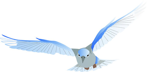 cute colorful jay vector bird on a white background.