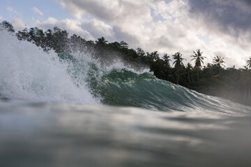 wave crashing with palm tree background