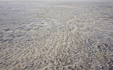 Ripple Pattern in Wet Beach Sand in Various Shades of Gray