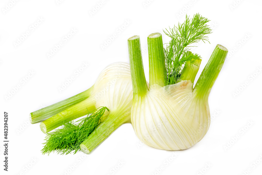 Wall mural fresh fennel bulb isolated on white background