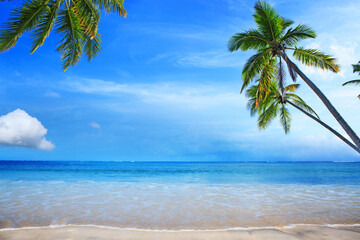Travel background with Caribbean sea and green palm trees on beach.