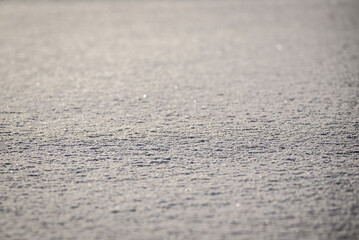 Selective focus photo. Snow covered ground.