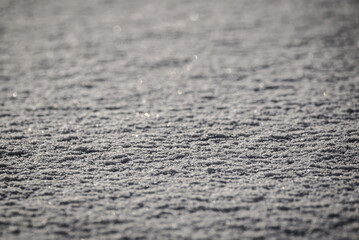 Selective focus photo. Snow covered ground.