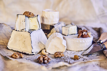 Various types of cheese with white mold on packaging paper. Home production, natural products.