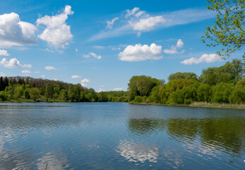 beautiful scenery in spring in the park