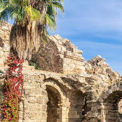 ancient ruins among tropical plants in Side, Turkey