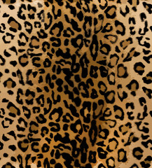 Leopard leather pattern for print elegance skin design seamless work