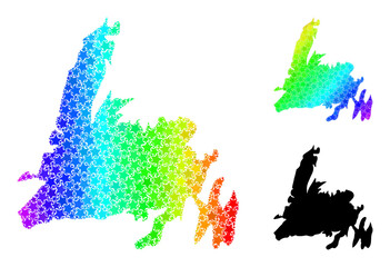 Rainbow gradient stars collage map of Newfoundland Island. Vector colorful map of Newfoundland Island with rainbow gradients.