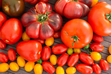 different varieties of ripe red and yellow appetizing tomatoes