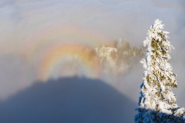 Rainbow that is formed by the shadow of a mountain in mist and fog at sunrise in tyrol austria, tannheimer valley