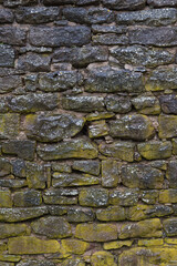 Alte Natursteinmauer, von Flechten bewachsen