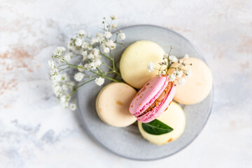 French assorted macarons pastel colors with gypsophila flowers on grey concrete background. Top...