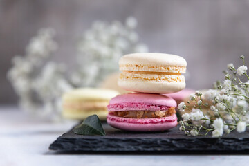 Macaron or macaroon with gypsophila flowers on grey concrete background. Pastel colors french dessert with flowers.