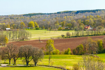 Fototapeta na wymiar Rural landscape view in spring greenery