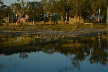 reflections in the water