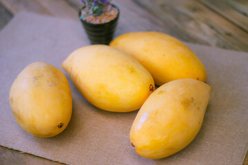 The golden mango is placed on the floor wooden table.