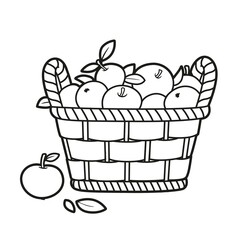 Big wicker basket with apples outlined for coloring book on white background