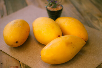 The golden mango is placed on the floor wooden table.