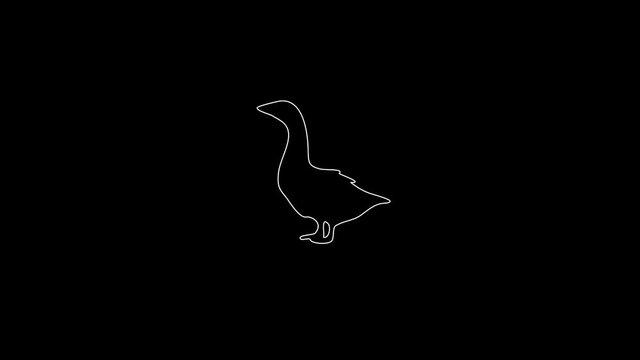 white linear duck silhouette. the picture appears and disappears on a black background.