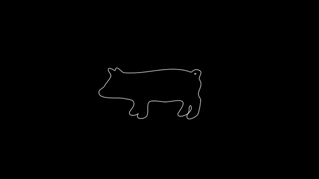 white linear piggy silhouette. the picture appears and disappears on a black background.