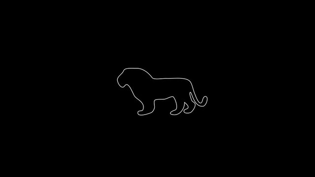 white linear lion silhouette. the picture appears and disappears on a black background.