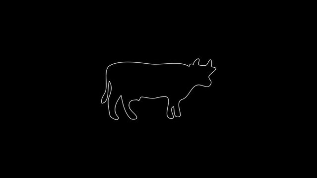 white linear cow silhouette. the picture appears and disappears on a black background.