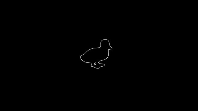 white linear little duck silhouette. the picture appears and disappears on a black background.