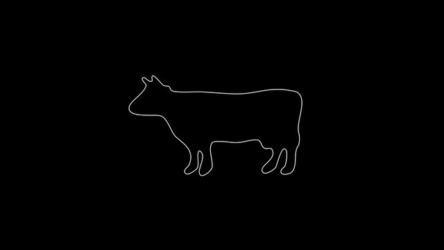 white linear cow silhouette. the picture appears and disappears on a black background.
